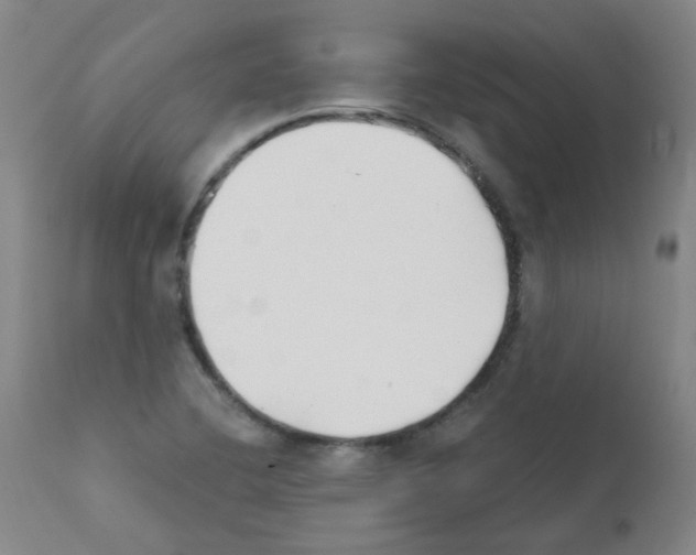 X0000111881412200909031829