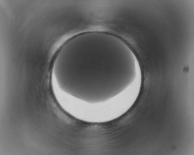 X0000111881414200909031829