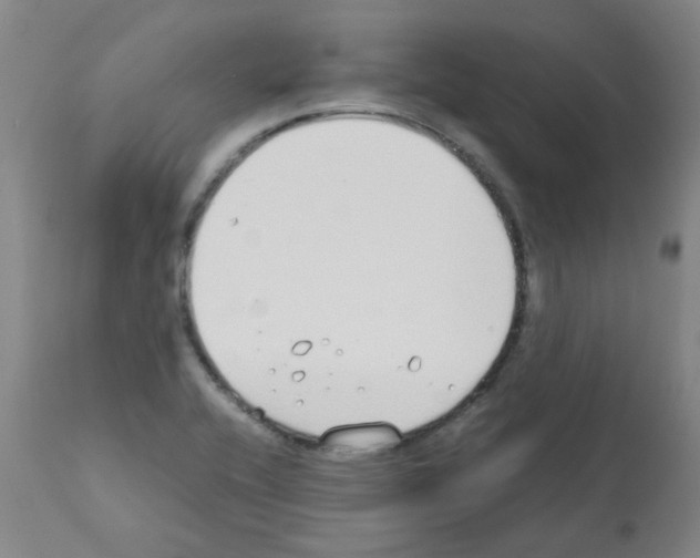 X0000111881416200909031829