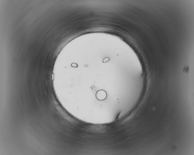 X0000111881417200909031829