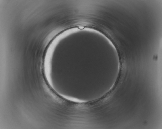 X0000111881418200909031829