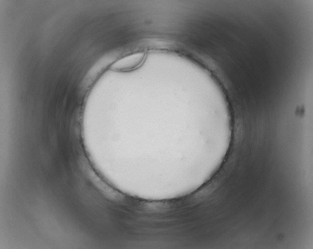 X0000111881421200909031829