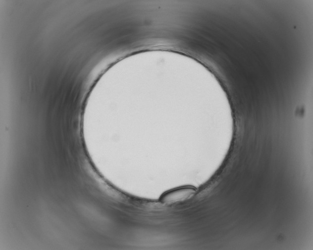X0000111881424200909031829