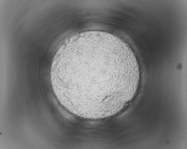 X0000111881425200909031829