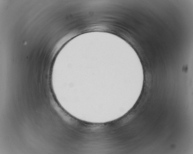 X0000111881426200909031829