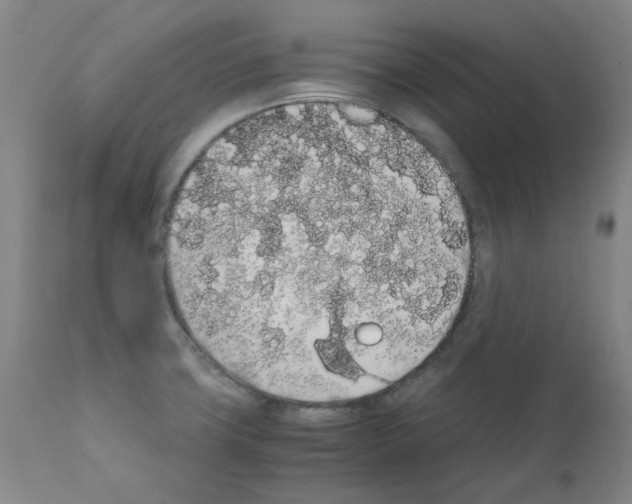 X0000111881427200909031829