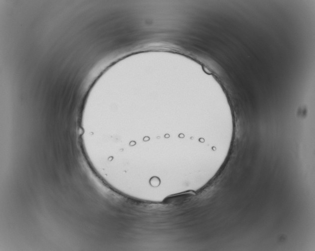 X0000111881430200909031830