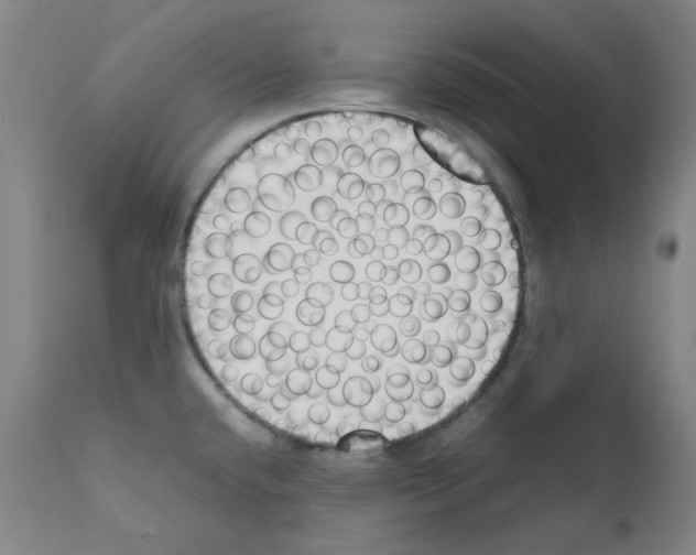 X0000111881432200909031830