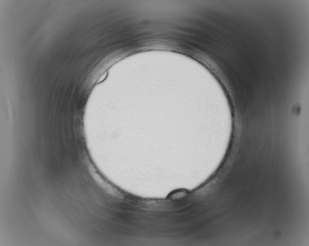 X0000111881433200909031830