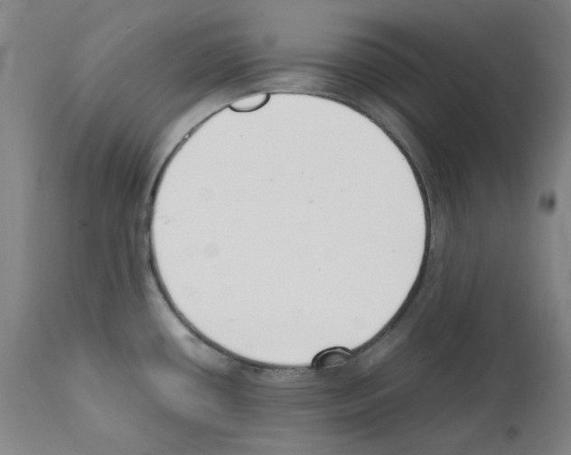 X0000111881434200909031830