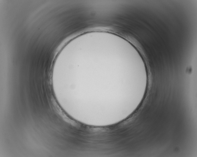 X0000111881436200909031830