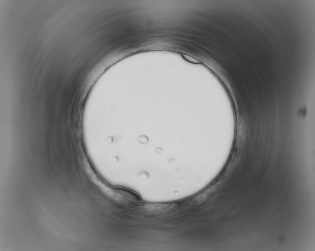 X0000111881437200909031830