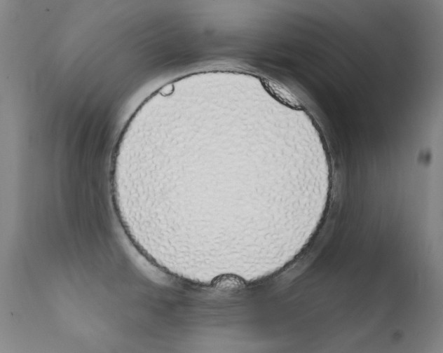 X0000111881438200909031830