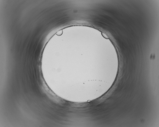 X0000111881440200909031830