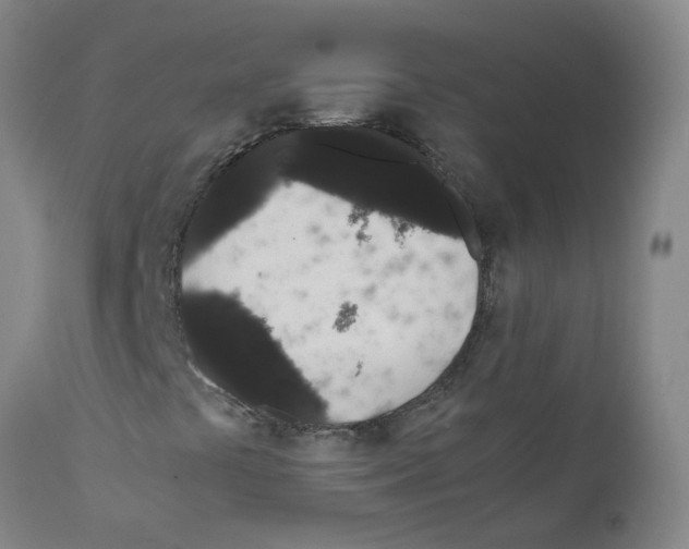 X0000111881441200909031829