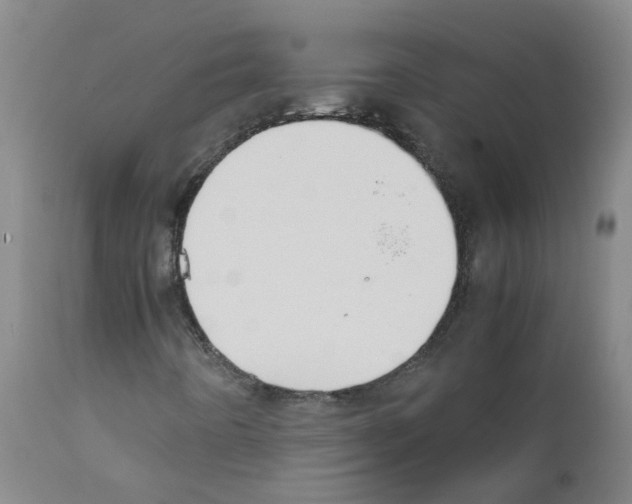 X0000111881442200909031829