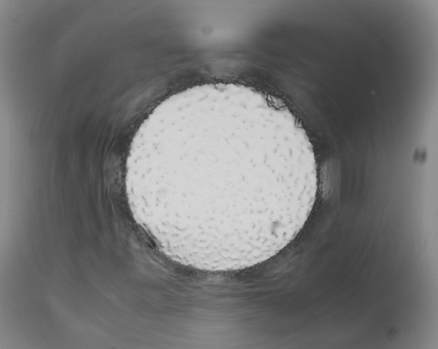X0000111881443200909031829