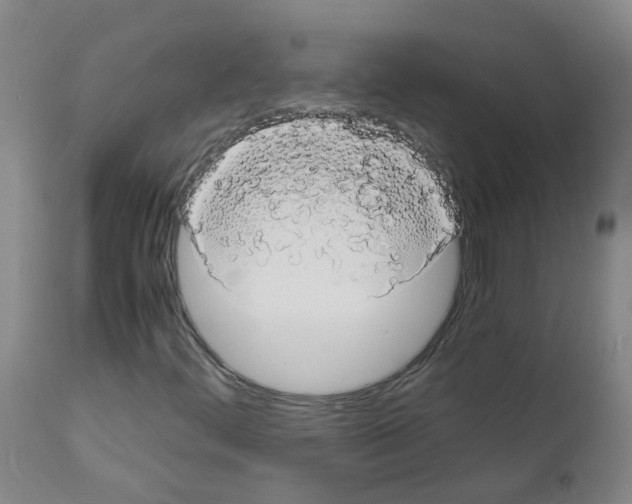 X0000111881444200909031829