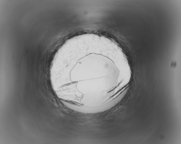 X0000111881445200909031829