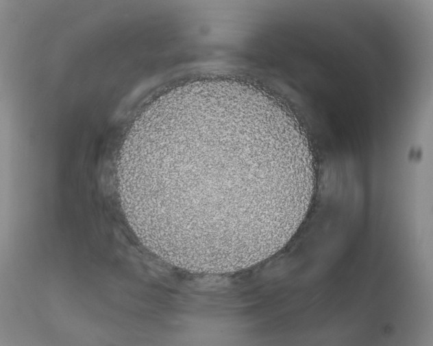 X0000111881446200909031829