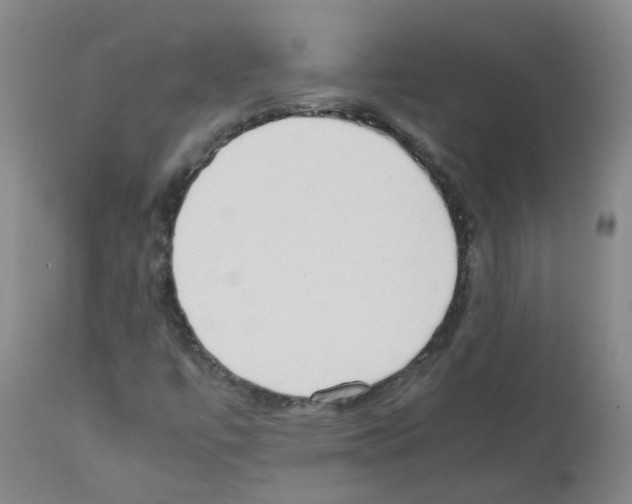 X0000111881447200909031829