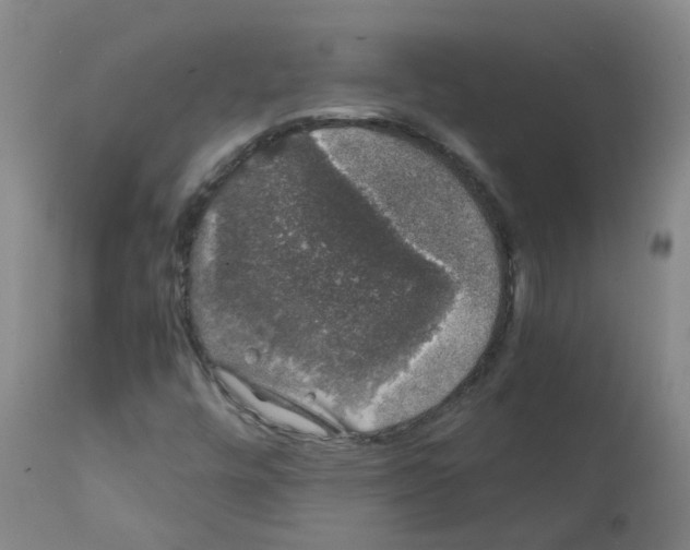 X0000111881448200909031829