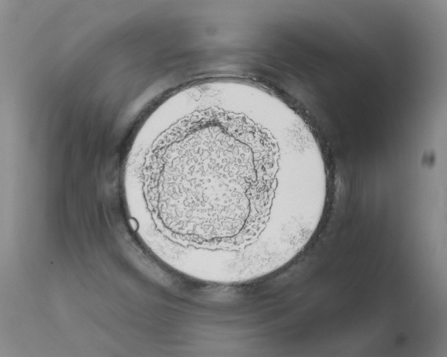 X0000111881450200909031829