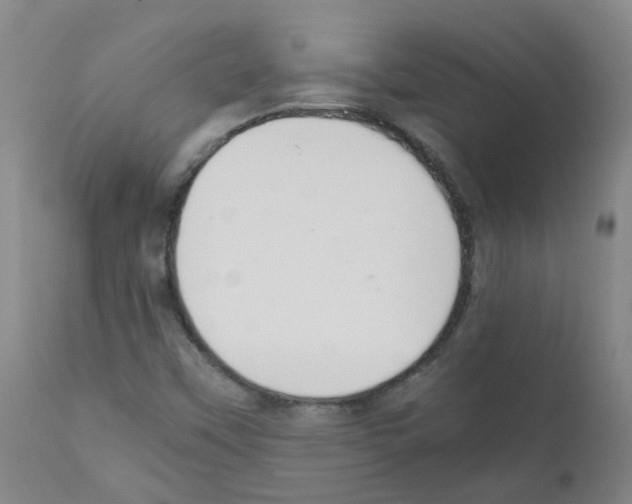X0000111881451200909031829