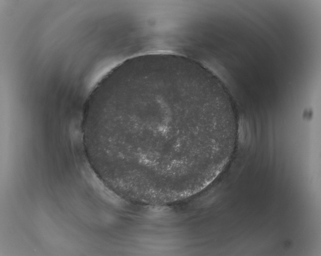 X0000111881452200909031829