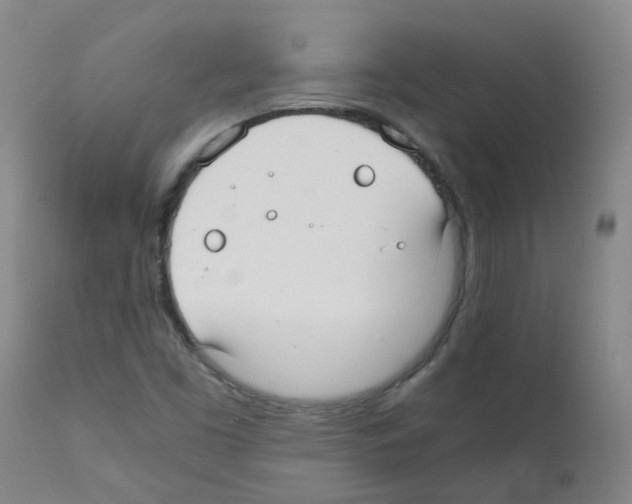 X0000111881453200909031829