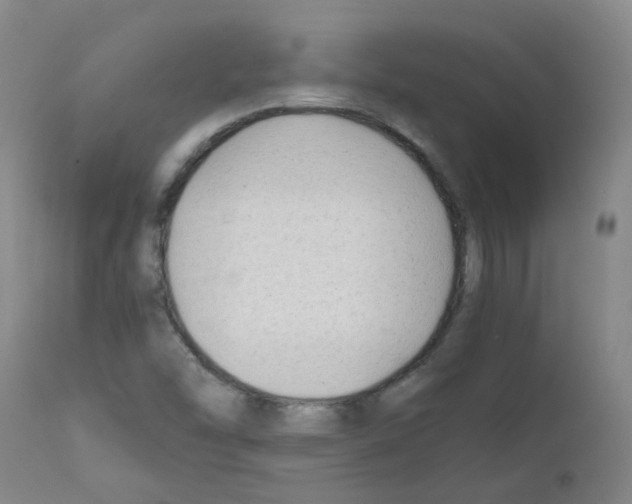 X0000111881454200909031829