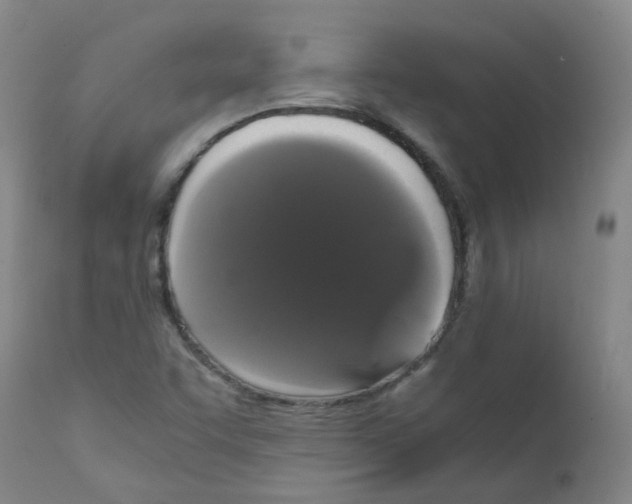X0000111881455200909031829