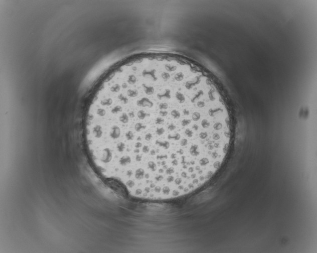 X0000111881456200909031829