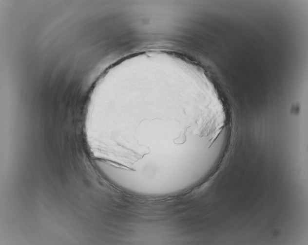 X0000111881457200909031829