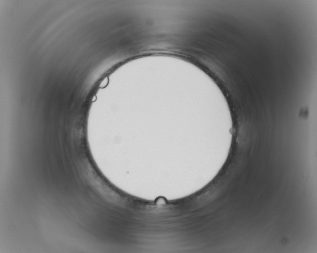 X0000111881458200909031828