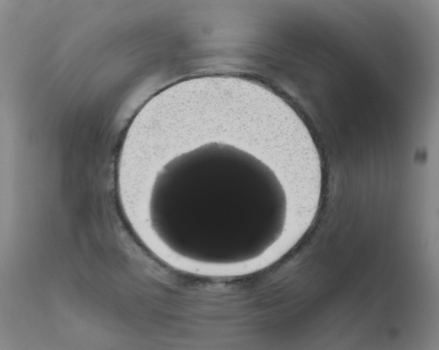 X0000111881459200909031828