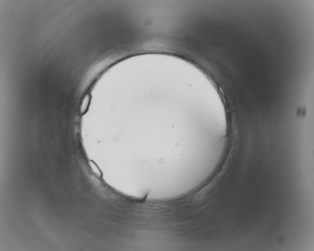 X0000111881461200909031828