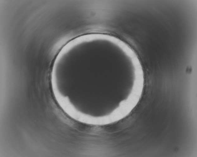 X0000111881463200909031828