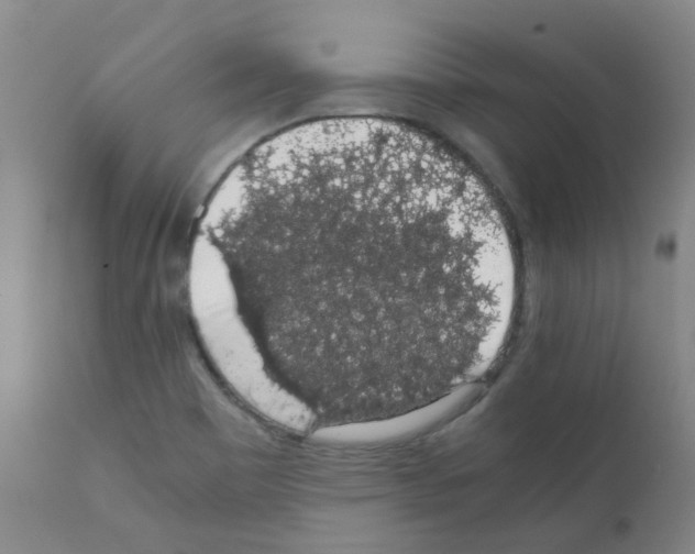 X0000111881465200909031828