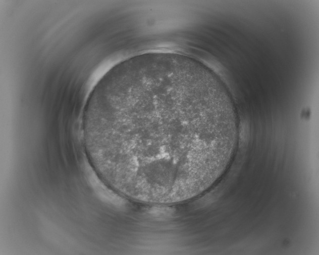 X0000111881466200909031828
