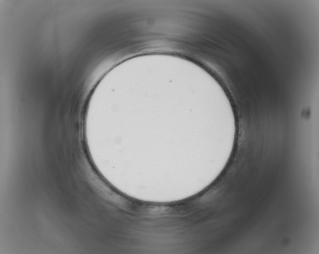 X0000111881467200909031828