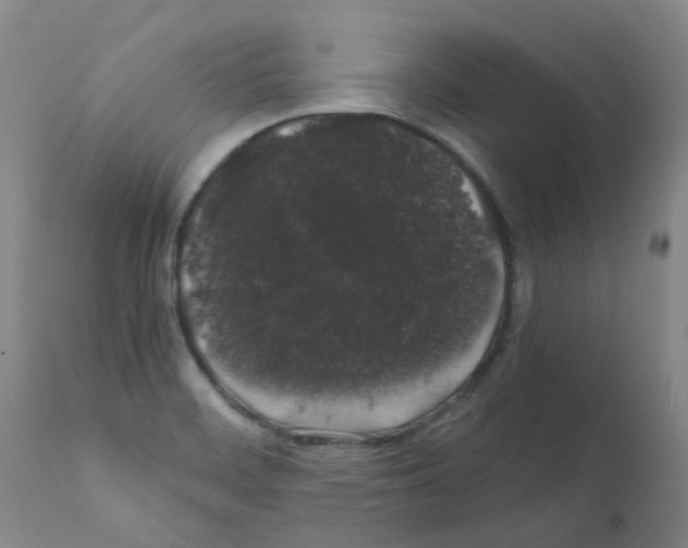 X0000111881468200909031828