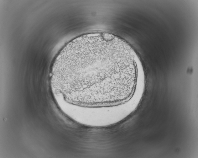 X0000111881469200909031828