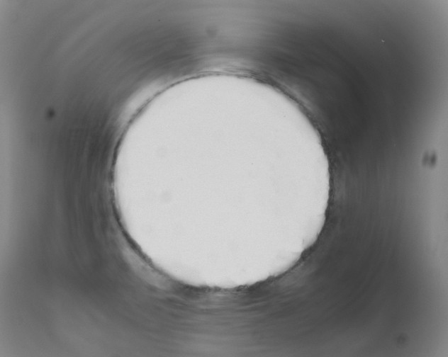 X0000111881471200909031828