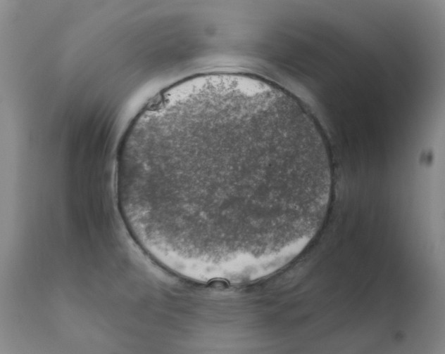X0000111881472200909031828
