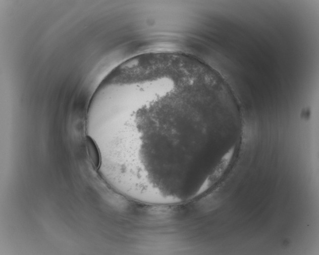 X0000111881473200909031828