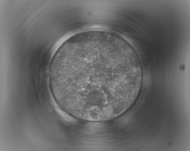 X0000111881474200909031828