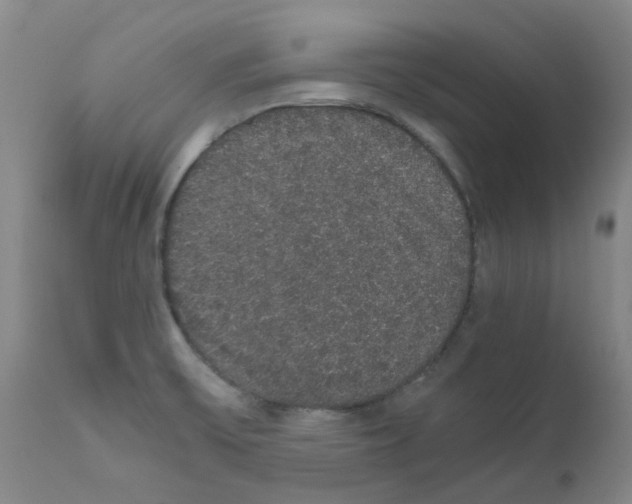 X0000111881475200909031828