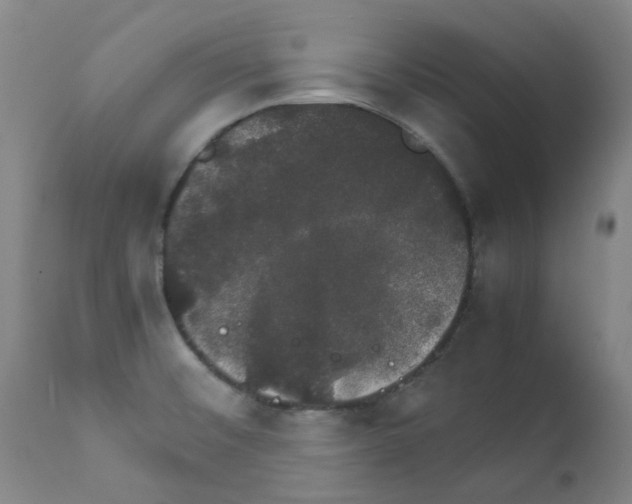 X0000111881476200909031828