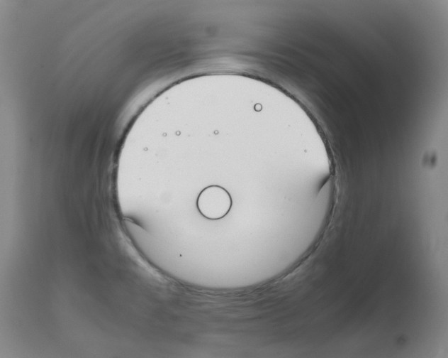X0000111881477200909031828